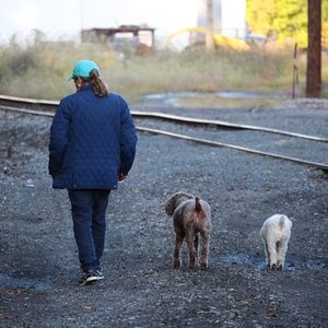 Meet your Posher, Roseanne